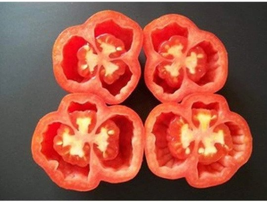 Red Stuffer Tomato Seeds Heirloom Organic