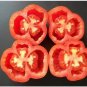 Red Stuffer Tomato Seeds Heirloom Organic