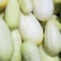 Miniature White Cucumber Seeds Heirloom Organic