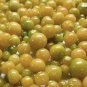 Aunt Molly's Ground Cherry Heirloom Organic
