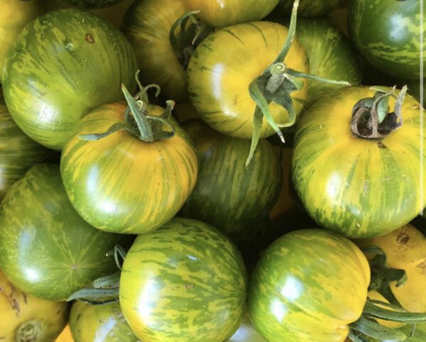 Green Bumble Bee Tomato Seeds Organic Rare Striped Cherry Tomatoes