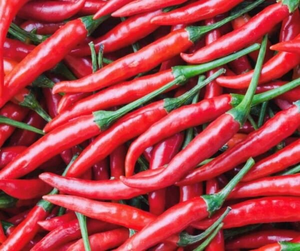 Sweet Cayenne Pepper Seeds Heirloom Organic