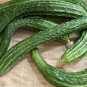 Suyo Long Cucumber Seeds Heirloom Organic