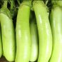 Louisiana Long Eggplant Seeds Heirloom Organic