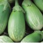 Masego Eggplant Seeds Heirloom Organic