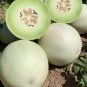 Green Flesh Honeydew Melon Heirloom Organic Fruit Heat Tolerant