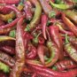 Jimmy Nardello's Pepper Seeds Sweet Heirloom Organic