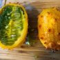 Jelly Melon Seeds Heirloom Aka African Horned Cucumber Kiwano Organic