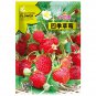 5 Bags (200 Seeds / Bag) of 'Medelet' Series Red Strawberry