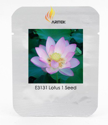 Heirloom Bright Red Nelumbo Nucifera Lotus Flower Pond Seeds, Professional Pack, 1 Seed / Pack, Ligh