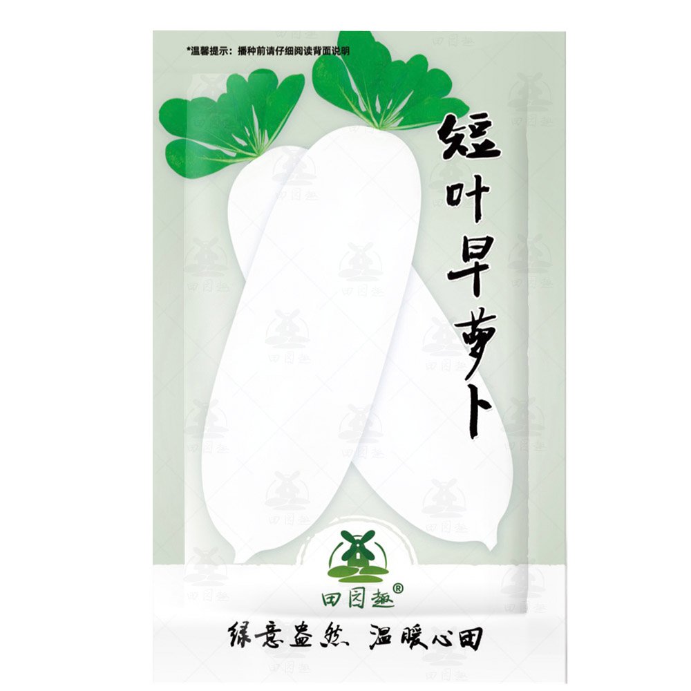 900pcs Radish seed White icicle radish short leaf non-gm garden vegetable seed