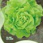 Original Pack, 120 Seeds / Pack, Cream Lettuce Seeds Butter Head Little Gem Organic Natural Vegetabl