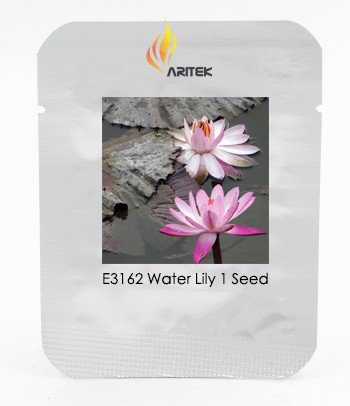 Heirloom Office Desk Small Pink Water Lily Seeds, Professional Pack, 1 Seed / Pack, Interesting Desk