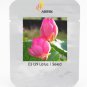 Heirloom Red Double-headed Nelumbo Nucifera Lotus Flower Seeds, Professional Pack, 1 Seed / Pack, Fr