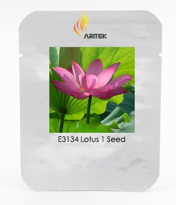 Heirloom Dark Red Strong Fragrant Nelumbo Nucifera Lotus Flower Seeds, Professional Pack, 1 Seed / P