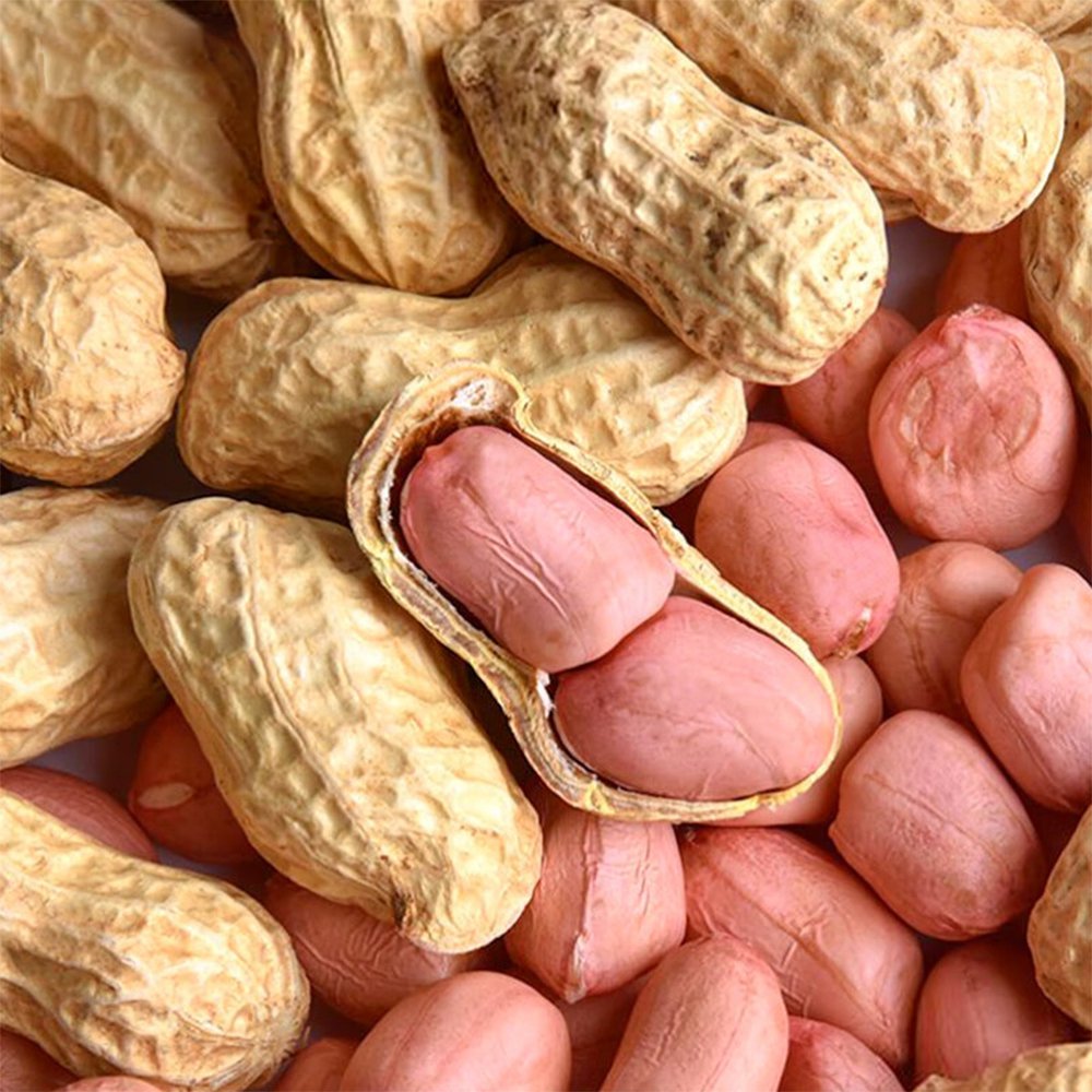 Lushou Peanut Seeds - 20 Seeds