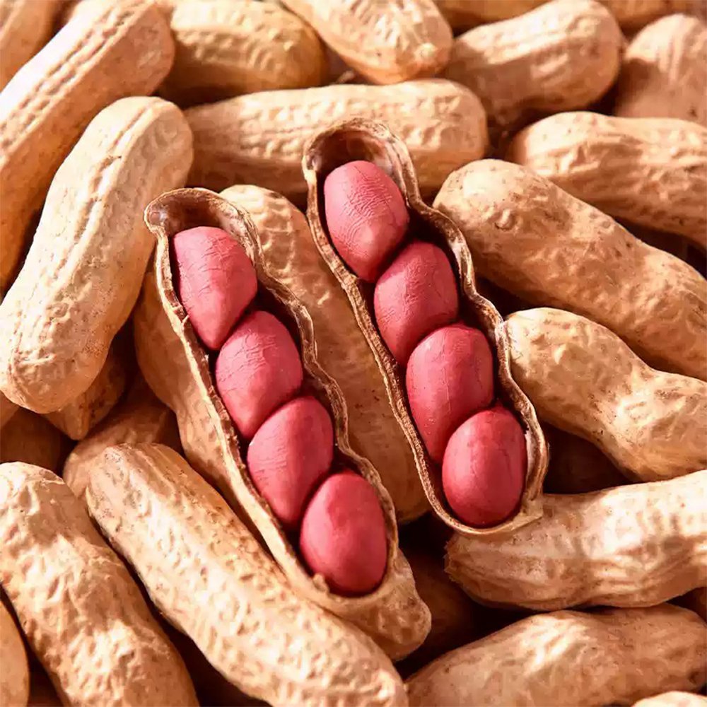 Four-grain Red Peanut Seeds - 20 Seeds