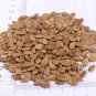 50 Starfruit Seeds (Averrhoa carambola L.) – Tropical Evergreen Tree