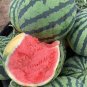 20 Bingchuan Meidu Watermelon Seeds, Dark Green Stripes, Red Flesh