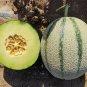 20 Basketball Green Hybrid Melon Seeds