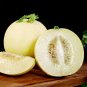 70 Premium White Honey Melon Seeds