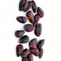 5 Soursop Organic and Red Fleshed