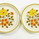 Wild Flower Dinner Plates Stoneware Made in Japan Retro Set of 2 Vintage EUC