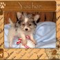 Yochon Laser Engraved Wood Picture Frame (5 x 7)