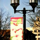 Macon Georgia Cherry Blossom Capital of the World Photo Fridge Magnet