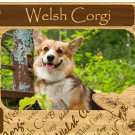 Welsh Corgi w Paws Engraved Wood Picture Frame Magnet