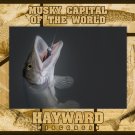 Musky Capital of the World Hayward Wisconsin Laser Engraved Wood Picture Frame