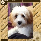 Cavapoo Laser Engraved Wood Picture Frame Portrait (4 x 6)