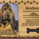 Bloodhound Laser Engraved Wood Picture Frame Magnet