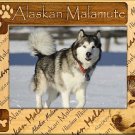 Alaskan Malamute Laser Engraved Wood Picture Frame Landscape (3 x 5)