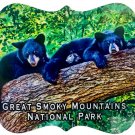 Die Cut Metal Great Smoky Mountains National Park Bears Fridge Magnet
