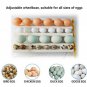 Eggs Incubator 16 Eggs Digita Mini Automatie Incubatores with Turner for Hatching Turkey