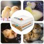 Eggs Incubator 16 Eggs Digita Mini Automatie Incubatores with Turner for Hatching Turkey