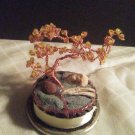 Bonzi Tree