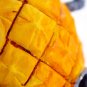 Penn-Plax Officially Licensed Nickelodeon SpongeBob SquarePants Aquarium Ornaments