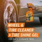 Armor All Premier Car Care Kit (8 94 fl. oz, 1 Pack,