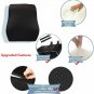 PROMIC Memory Foam Lumbar Support Back Cushion, Ergonomic Pillow...