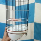 place bird