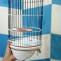 place bird