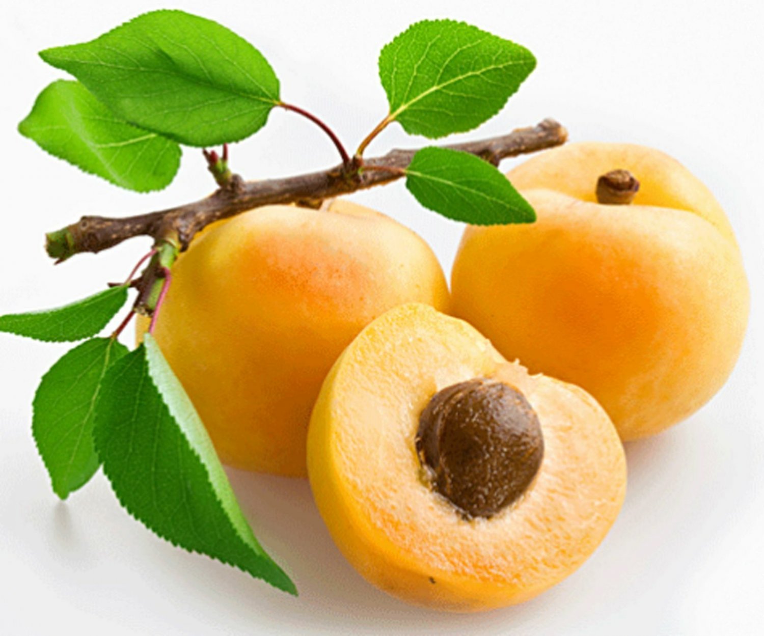 5 Apricot (Prunus armeniaca) tree bio seeds Delicious fruit!Easy to