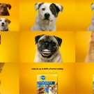 PEDIGREE DENTASTIX MEDIUM 7 STICKS PER PACK! dog dental care! Free Shipping