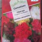 Free Shipping!! Carnation seeds mix (Dianthus caryophyllus ) 0,25grams . Exotic flower