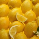 10 Lemon tree seeds! delicious fruit!! Fresh bio seeds From Portugal! Free Shipping