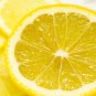 10 Lemon tree seeds! delicious fruit!! Fresh bio seeds From Portugal! Free Shipping