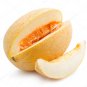 Free Shipping!10 White melon seeds! delicious fruit!! Fresh bio seeds From Portugal!