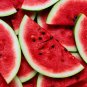 Free Shipping!10 Watermelon tree seeds! delicious fruit!! Fresh bio seeds From Portugal!